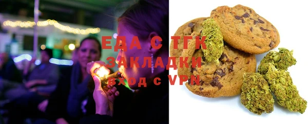 стафф Арсеньев