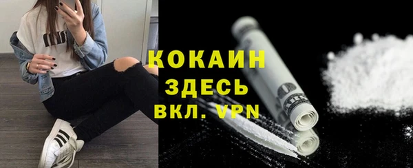 стафф Арсеньев