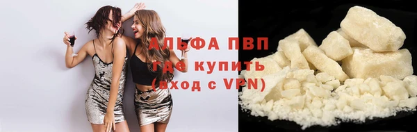 стафф Арсеньев