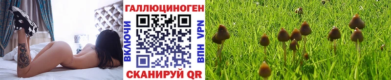 Галлюциногенные грибы ЛСД  Рассказово 